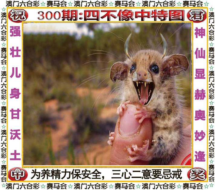 新澳门生肖彩